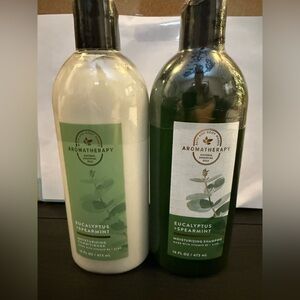 Bath & Body Works Eucalyptus Spearmint Shampoo and Conditioner Set